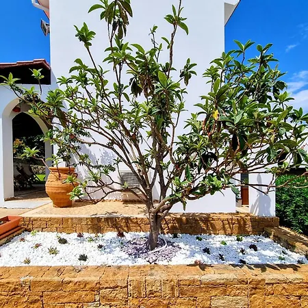 Ktima Amitsa , Platania * سارتي