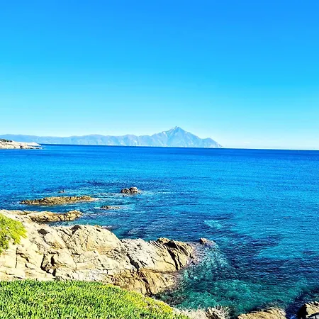 Ktima Amitsa , Platania Sarti