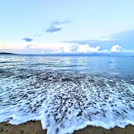 Ktima Amitsa , Platania Aparthotel Sarti