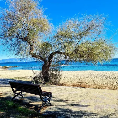 Aparthotel Ktima Amitsa , Platania